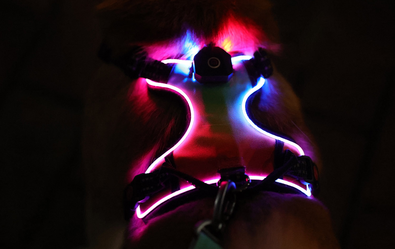 Harnais lumineux personnalisé OKEYPETS pour chien, harnais anti-traction à LED 7