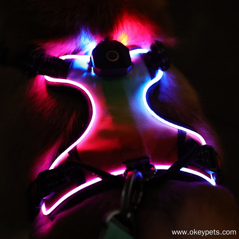 Harnais lumineux personnalisé OKEYPETS pour chien, harnais anti-traction à LED 15