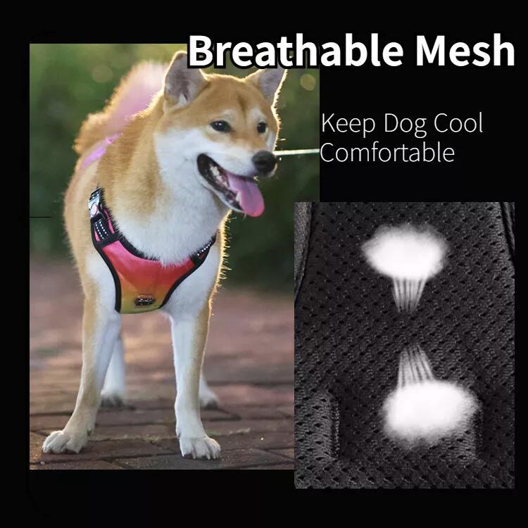 Harnais lumineux personnalisé OKEYPETS pour chien, harnais anti-traction à LED 11