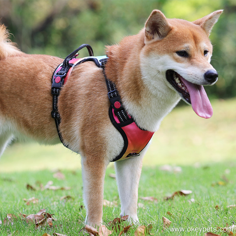 Harnais lumineux personnalisé OKEYPETS pour chien, harnais anti-traction à LED 18