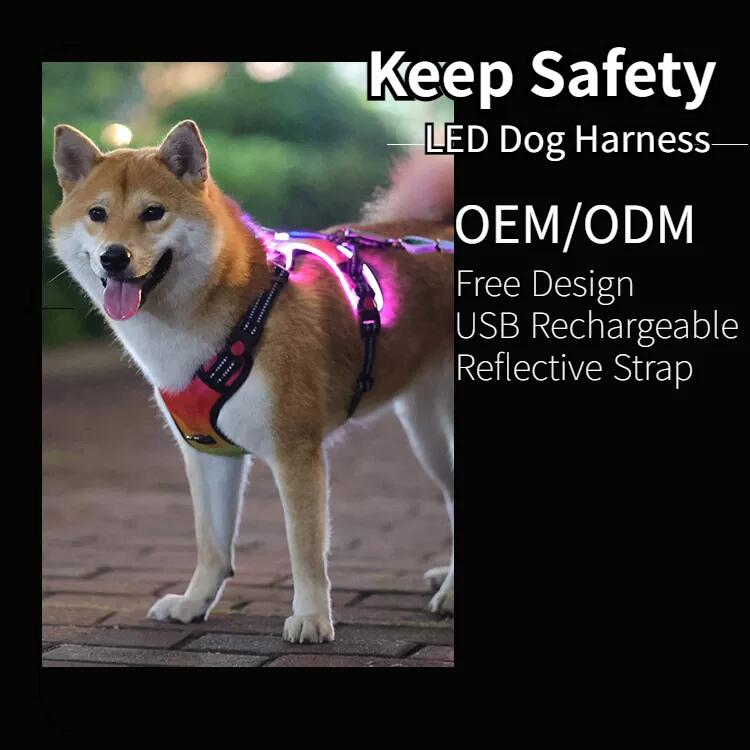 Harnais lumineux personnalisé OKEYPETS pour chien, harnais anti-traction à LED 9