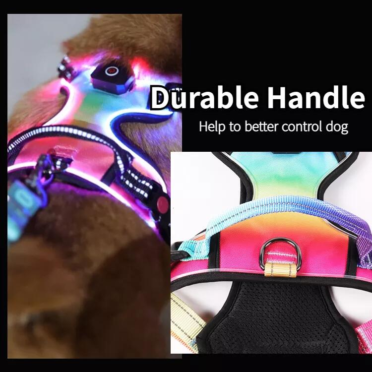 Harnais lumineux personnalisé OKEYPETS pour chien, harnais anti-traction à LED 12