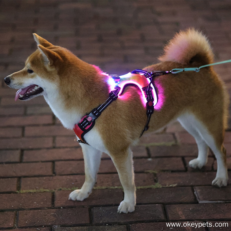 Harnais lumineux personnalisé OKEYPETS pour chien, harnais anti-traction à LED 19