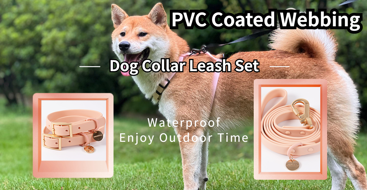 OKEYPETS Wholesale 7 Colors PVC Dog Collar Dog Leash  Custom Waterproof PVC Dog Lead Collar With Name Tag 8