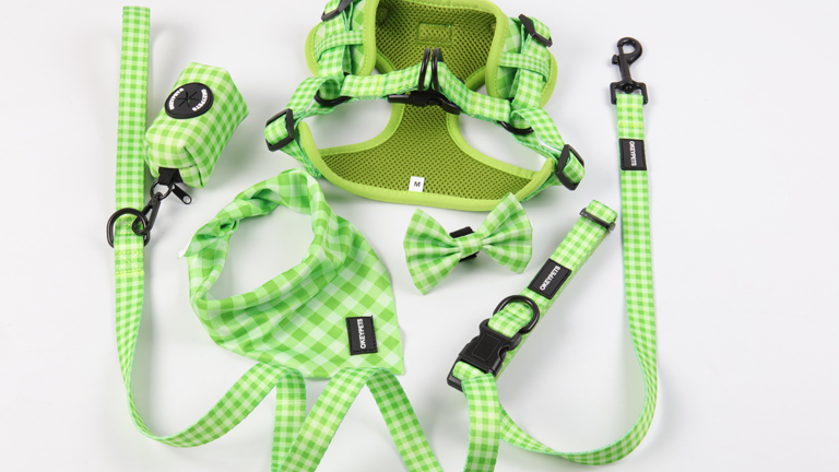 Ensemble harnais et laisse de luxe personnalisé pour chien, impression néoprène personnalisée, harnais facile à enfiler. 12