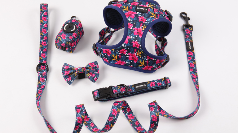 Ensembles harnais et laisse personnalisés pour chien, imprimés, nouveau style Noël, rouge, mignon, collier, gilet, harnais 11