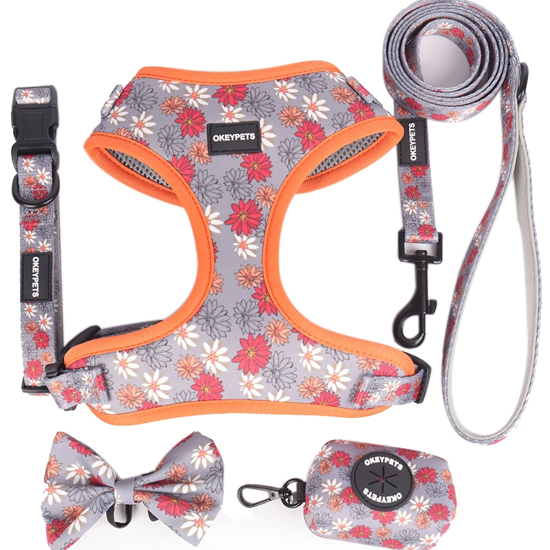 OKEYPETS Ensemble harnais et laisse pour chien - Fabricant de harnais pour chien imprimés et rembourrés personnalisés 10