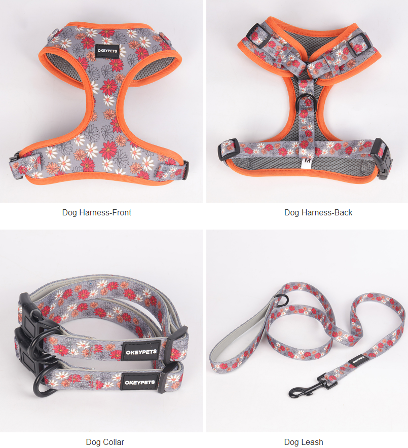 OKEYPETS Ensemble harnais et laisse pour chien - Fabricant de harnais pour chien imprimés et rembourrés personnalisés 11