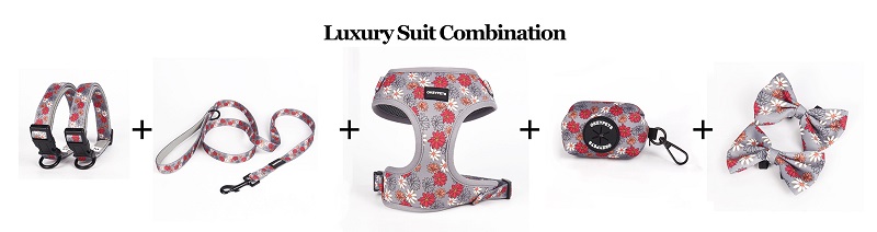 OKEYPETS Ensemble harnais et laisse pour chien - Fabricant de harnais pour chien imprimés et rembourrés personnalisés 8