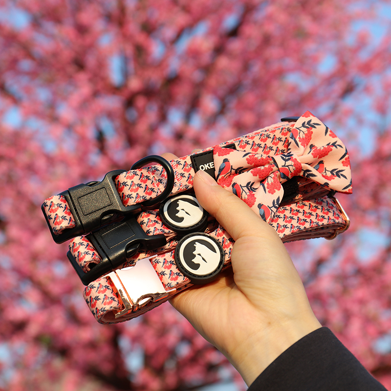 Neoprene Dog Harness Set Printed Dog Vest With Dog Collar/Leash/Poop Bag Holder 10