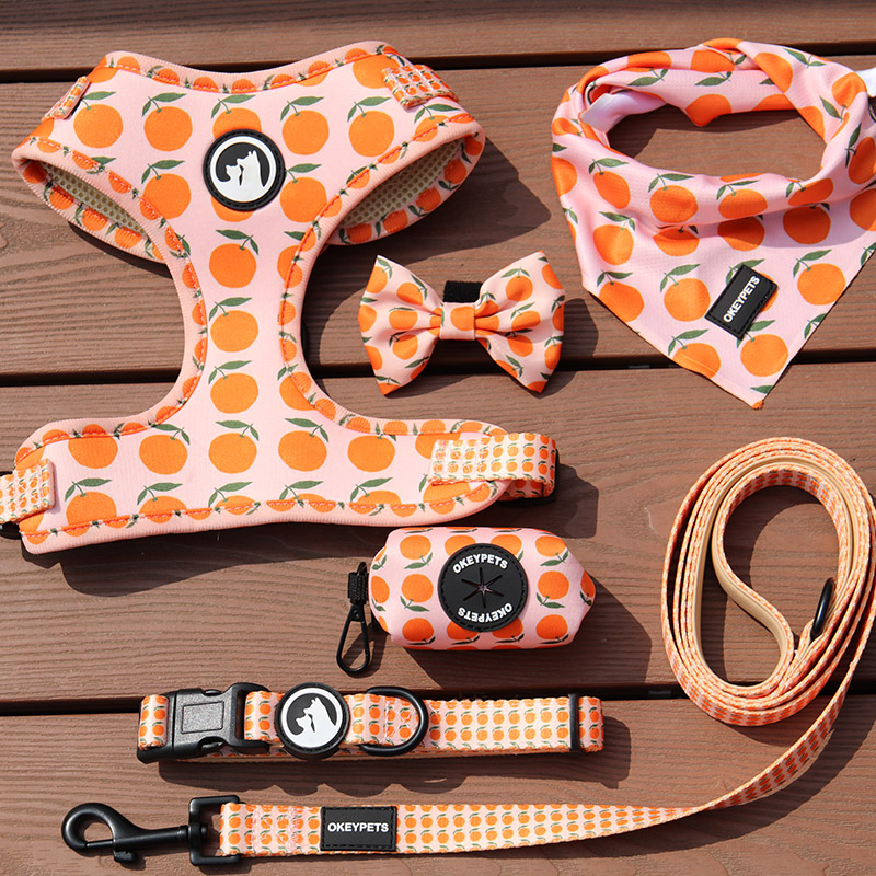 Neoprene Dog Harness Set Printed Dog Vest With Dog Collar/Leash/Poop Bag Holder 22