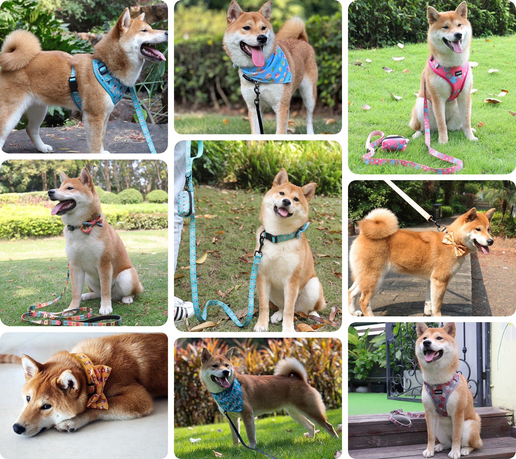 Harnais pour chien personnalisé avec logo, idéal pour les promenades. Harnais en polyester personnalisé pour animaux de compagnie. 25