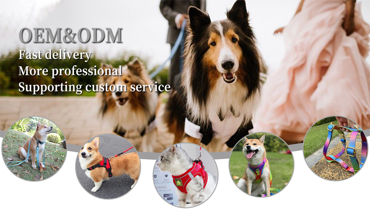 Collier personnalisé gravé de la marque OKEYPETS, collier tendance avec étiquette nominative imprimée pour chien 7