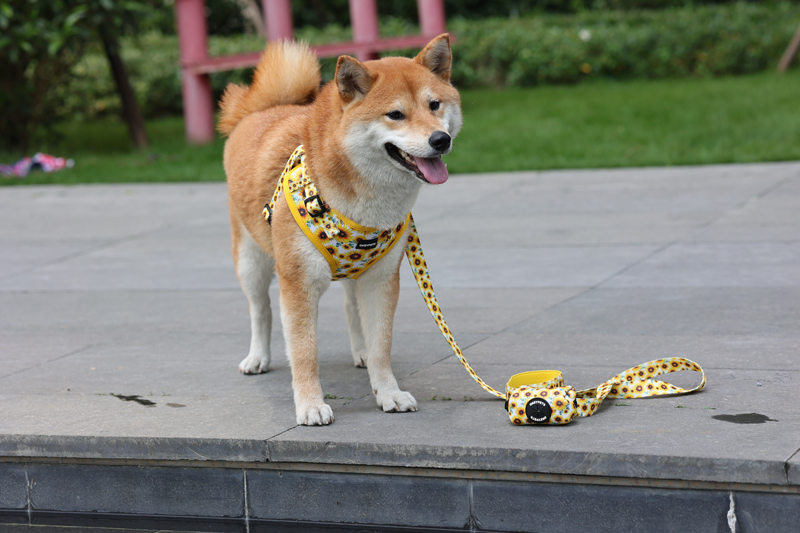 OKEYPETS Nouveau harnais pour chien design facile à enfiler, logo personnalisé, vente en gros, petit ensemble de harnais de luxe mignon facile à enfiler 12