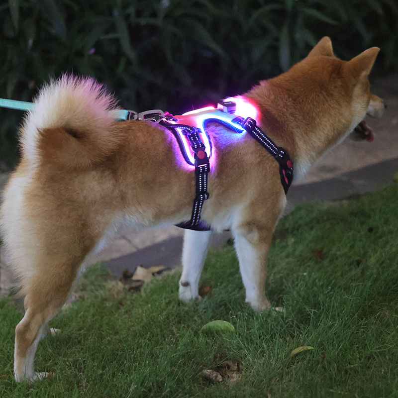 OKEYPETS, vente en gros de harnais pour chien rechargeable USB, sécurité pour animaux de compagnie, anti-traction, harnais LED pour chiens de taille moyenne. 7