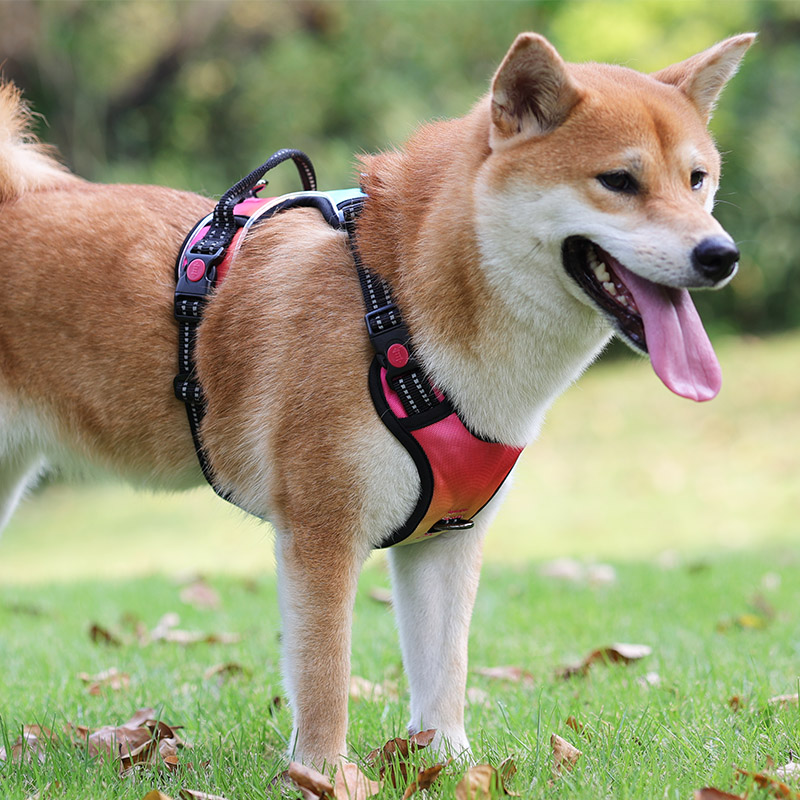 OKEYPETS, vente en gros de harnais pour chien rechargeable USB, sécurité pour animaux de compagnie, anti-traction, harnais LED pour chiens de taille moyenne. 20