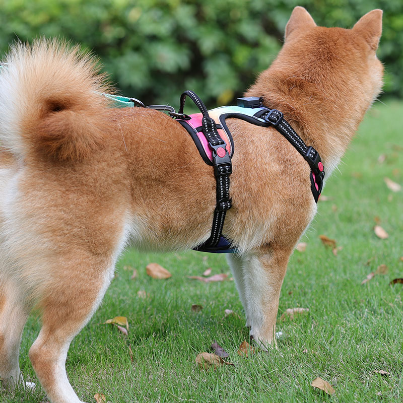 OKEYPETS, vente en gros de harnais pour chien rechargeable USB, sécurité pour animaux de compagnie, anti-traction, harnais LED pour chiens de taille moyenne. 22