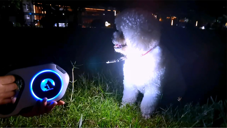 Laisse rétractable pour chien avec lampe torche LED intégrée | Rotation à 360° anti-nœuds 7