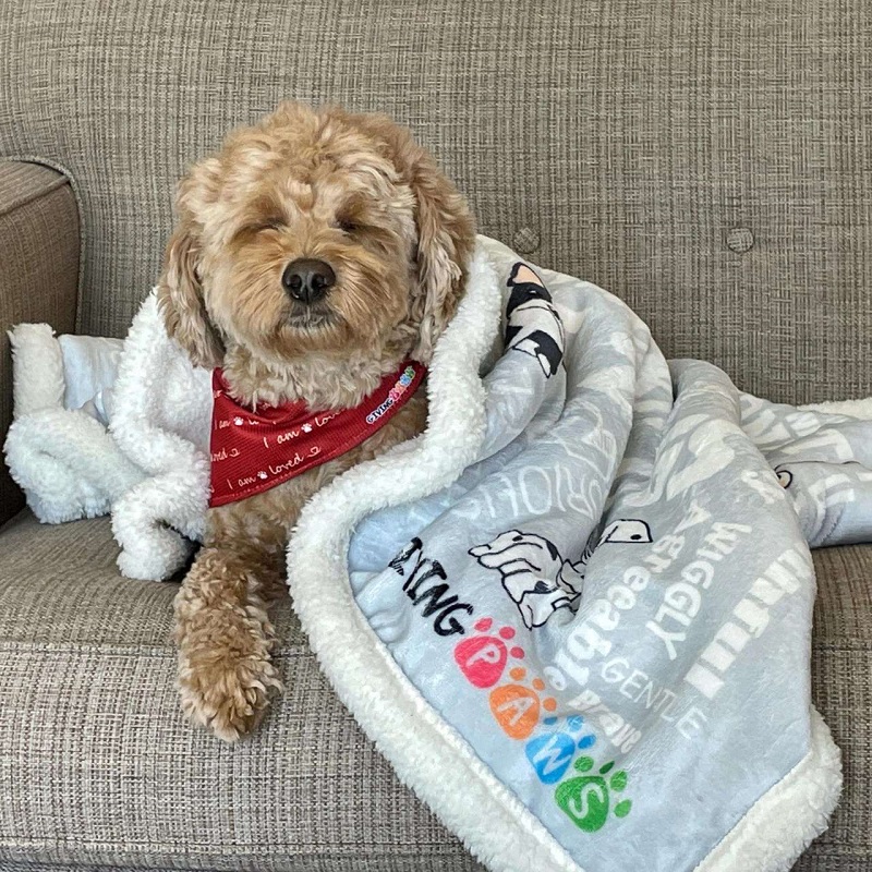 Couverture pour chien douce et mignonne en polaire sherpa, chaude et lavable, avec logo et motif personnalisables. 6