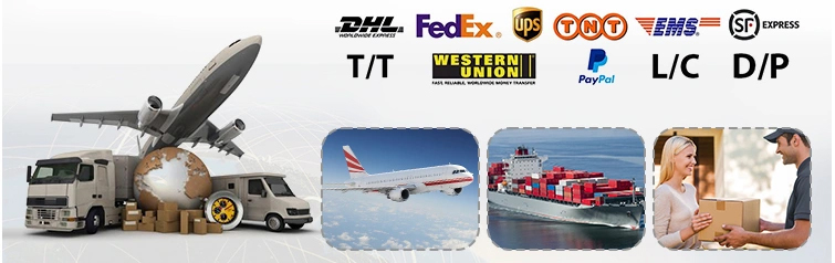 Collier tactique pour chien, collier militaire réglable en nylon avec laisse, poignée et boucle métallique robuste 22