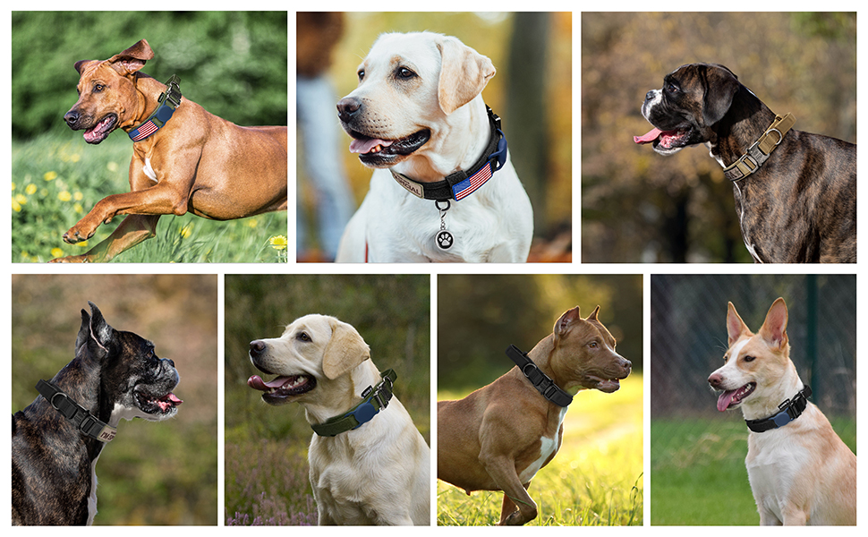 Collier tactique pour chien, collier militaire réglable en nylon avec laisse, poignée et boucle métallique robuste 13