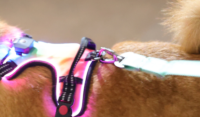 Harnais pour chien lumineux à LED, anti-traction, réfléchissant, respirant, robuste, grande taille, pour l'entraînement tactique et personnalisé. 9