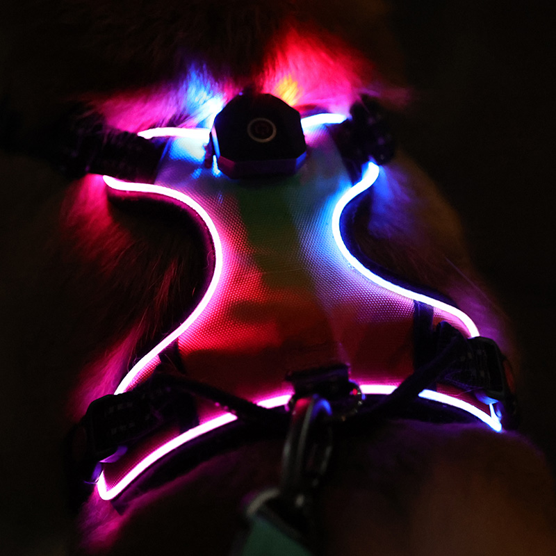 Harnais pour chien lumineux à LED, anti-traction, réfléchissant, respirant, robuste, grande taille, pour l'entraînement tactique et personnalisé. 15