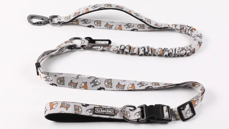 Bungee Dog Leash Lead Big Size Pet Dog Heavy Duty Pulling Dog Leash Custom Logo Hands Free Multi-function 1