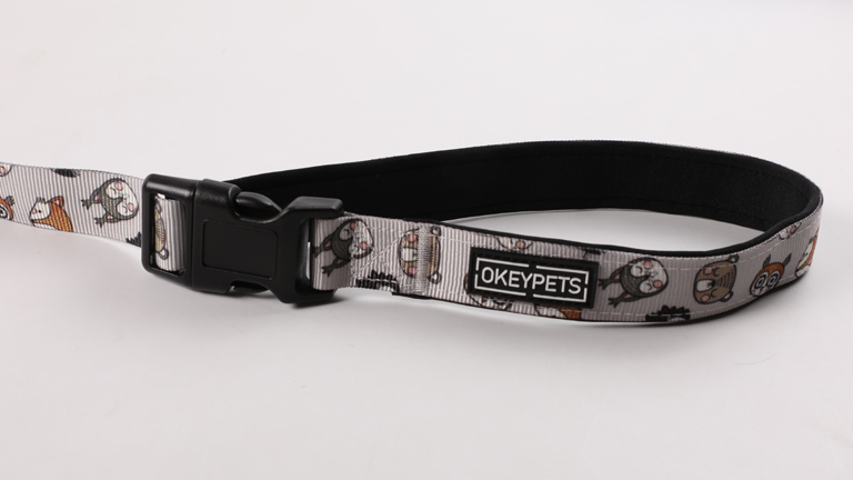 Bungee Dog Leash Lead Big Size Pet Dog Heavy Duty Pulling Dog Leash Custom Logo Hands Free Multi-function 10