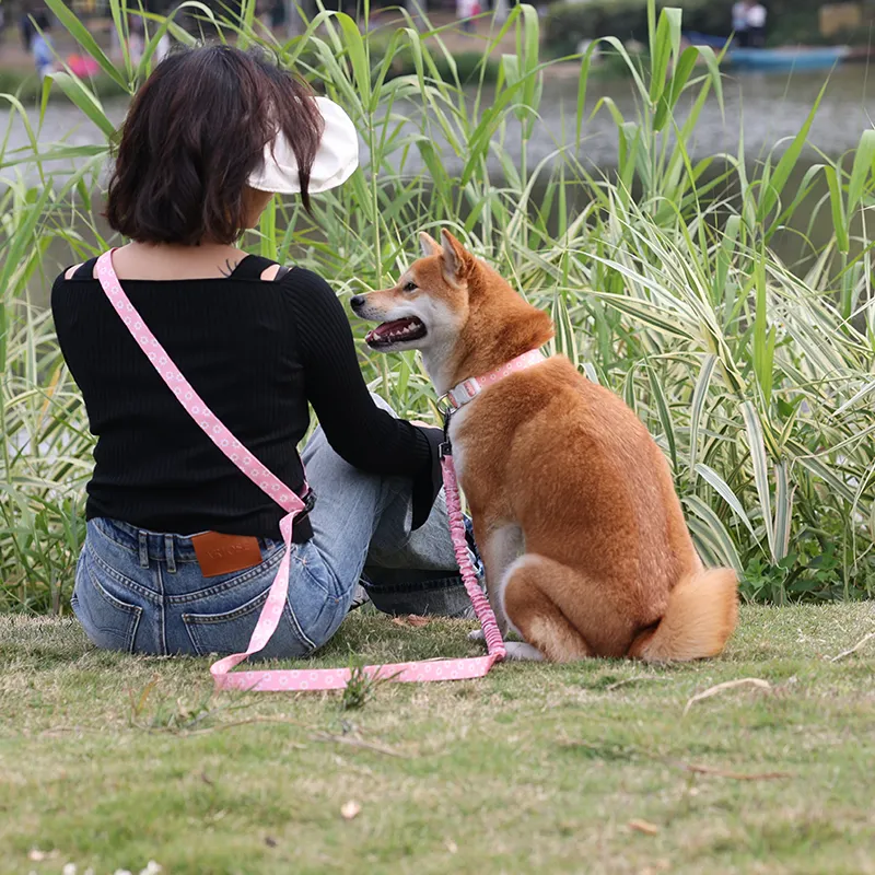 Iall Madraí Níolón Fada: Láimhseáil Dhúbailte, Sábháilte le Crios Sábhála 6
