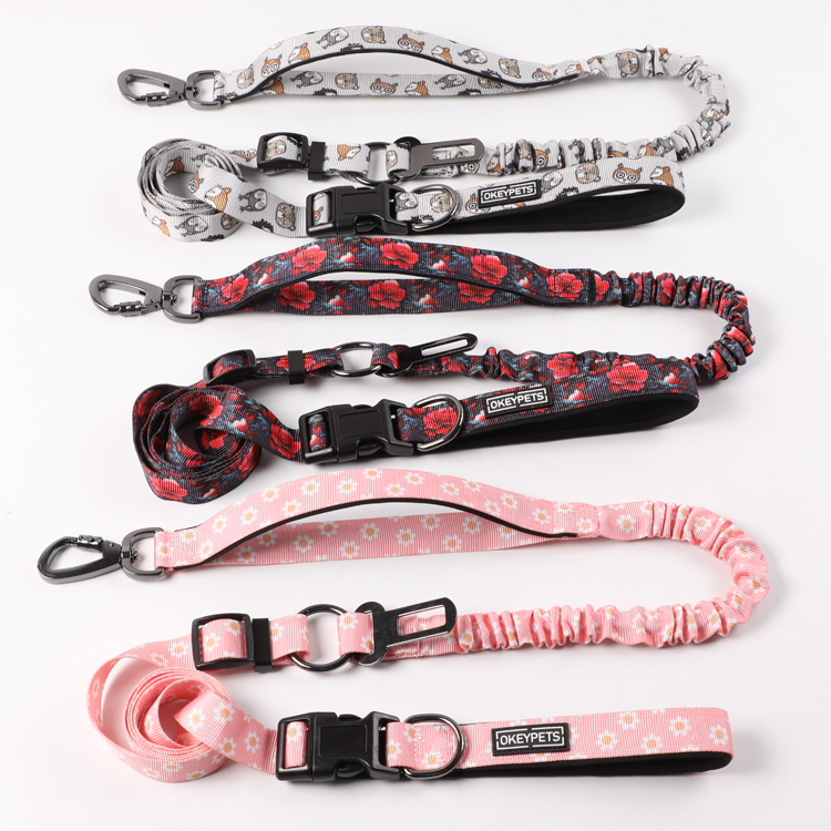 Laisse élastique personnalisée OKEYPETS pour chien, double poignée, robuste, avec logo 17