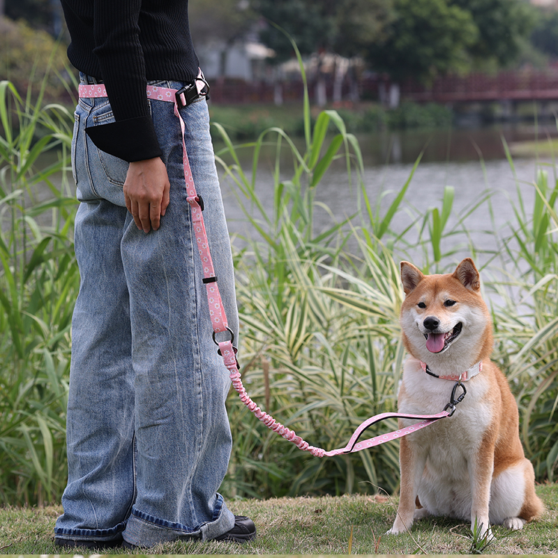 Bungee Dog Leash Lead Big Size Pet Dog Heavy Duty Pulling Dog Leash Custom Logo Hands Free Multi-function 20