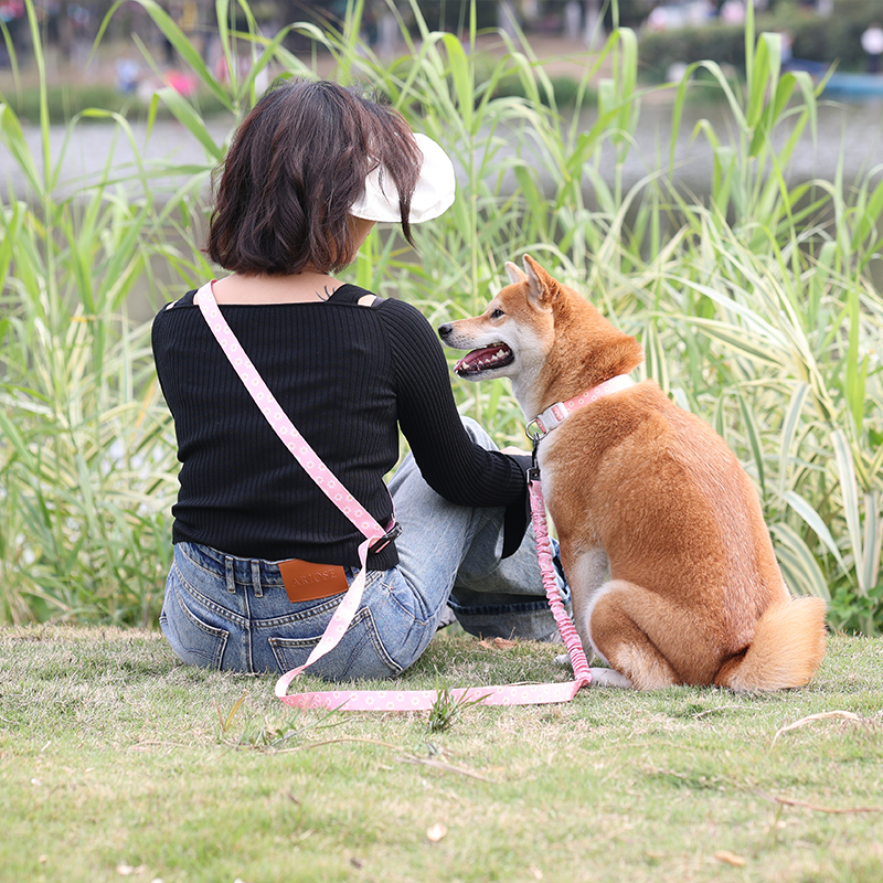 Bungee Dog Leash Lead Big Size Pet Dog Heavy Duty Pulling Dog Leash Custom Logo Hands Free Multi-function 19