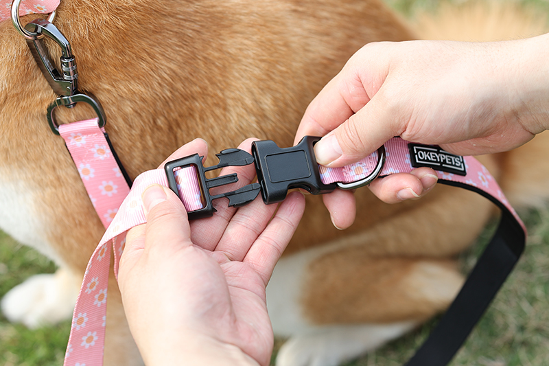 Bungee Dog Leash Lead Big Size Pet Dog Heavy Duty Pulling Dog Leash Custom Logo Hands Free Multi-function 22