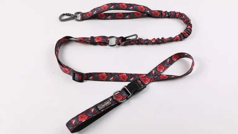 Laisse élastique personnalisée OKEYPETS pour chien, double poignée, robuste, avec logo 1