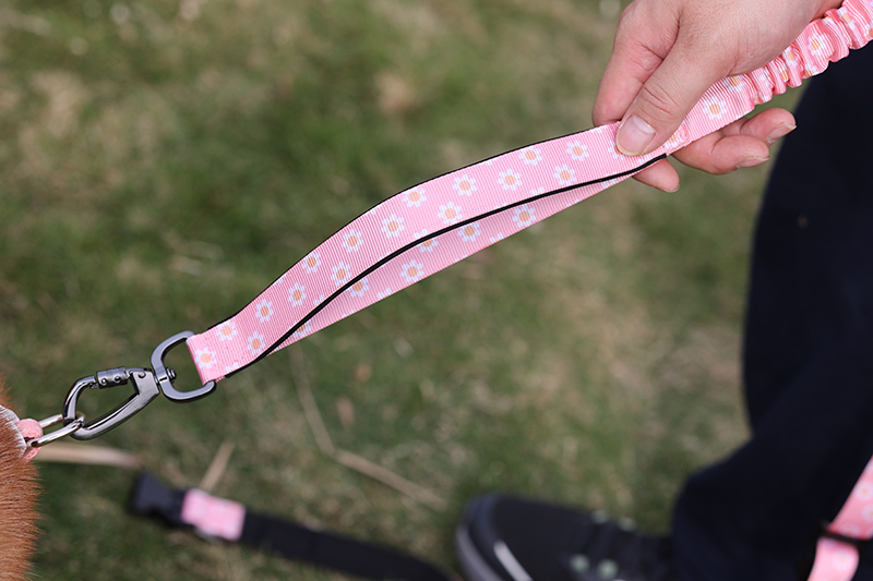 Laisse élastique personnalisée OKEYPETS pour chien, double poignée, robuste, avec logo 23