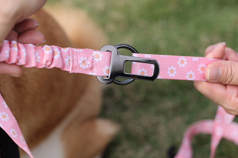 Laisse élastique personnalisée OKEYPETS pour chien, double poignée, robuste, avec logo 25