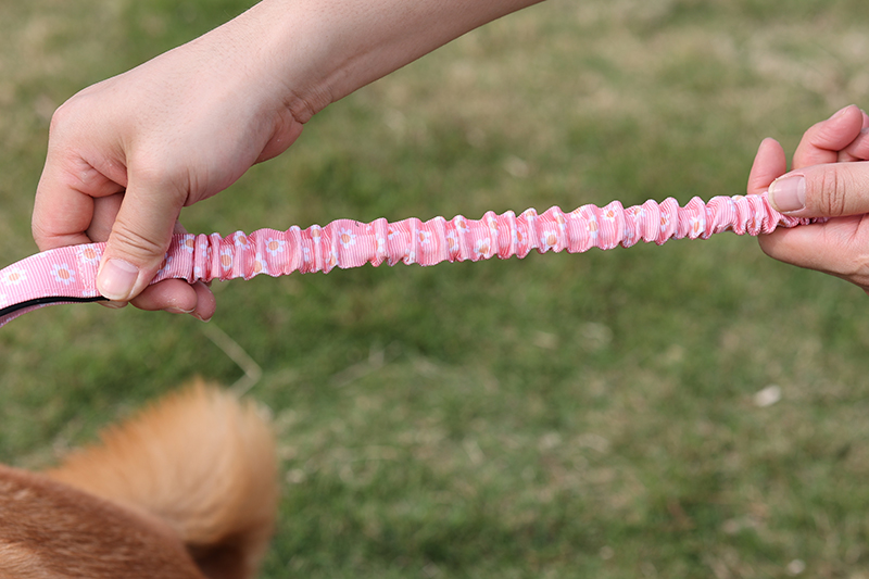 Laisse élastique personnalisée OKEYPETS pour chien, double poignée, robuste, avec logo 24