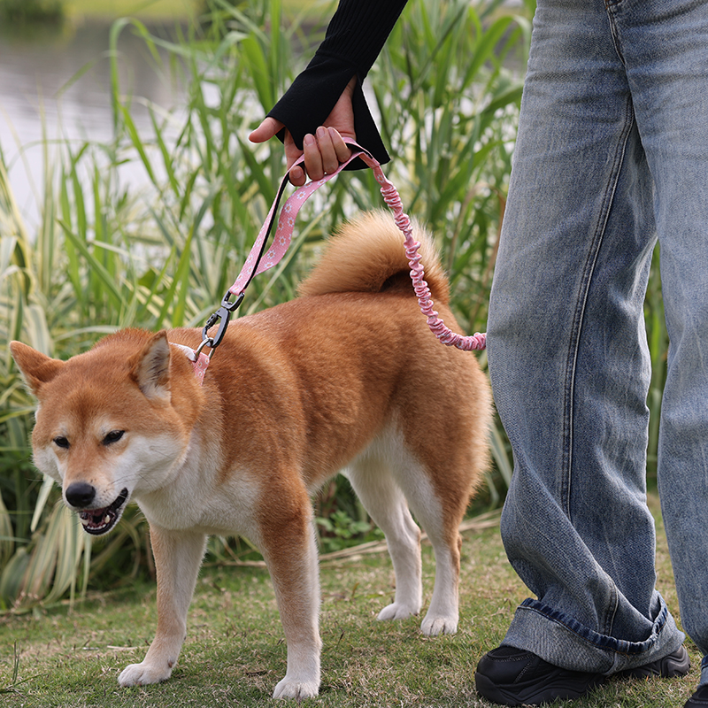 Laisse élastique personnalisée OKEYPETS pour chien, double poignée, robuste, avec logo 21