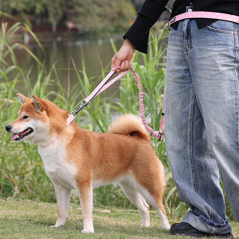 Laisse élastique personnalisée OKEYPETS pour chien, double poignée, robuste, avec logo 22