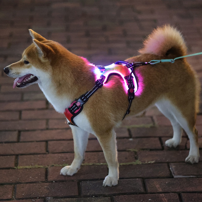 Harnais tactique personnalisé pour chien, anti-traction, rembourré, sûr, réglable, réfléchissant, robuste, avec LED. 16