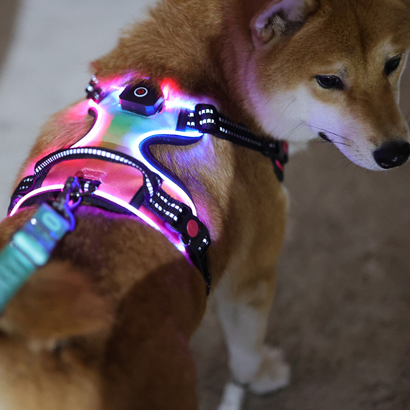 Harnais tactique personnalisé pour chien, anti-traction, rembourré, sûr, réglable, réfléchissant, robuste, avec LED. 15