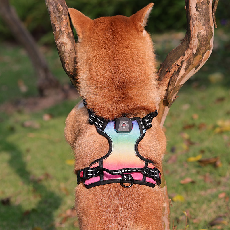 Harnais tactique personnalisé pour chien, anti-traction, rembourré, sûr, réglable, réfléchissant, robuste, avec LED. 13