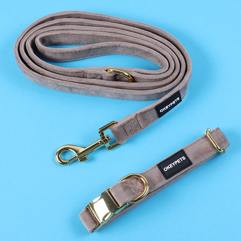 Collier pour chien en velours personnalisé, ajustable, avec logo personnalisé, idéal pour les promenades en extérieur. Fabriqué en Chine. 10