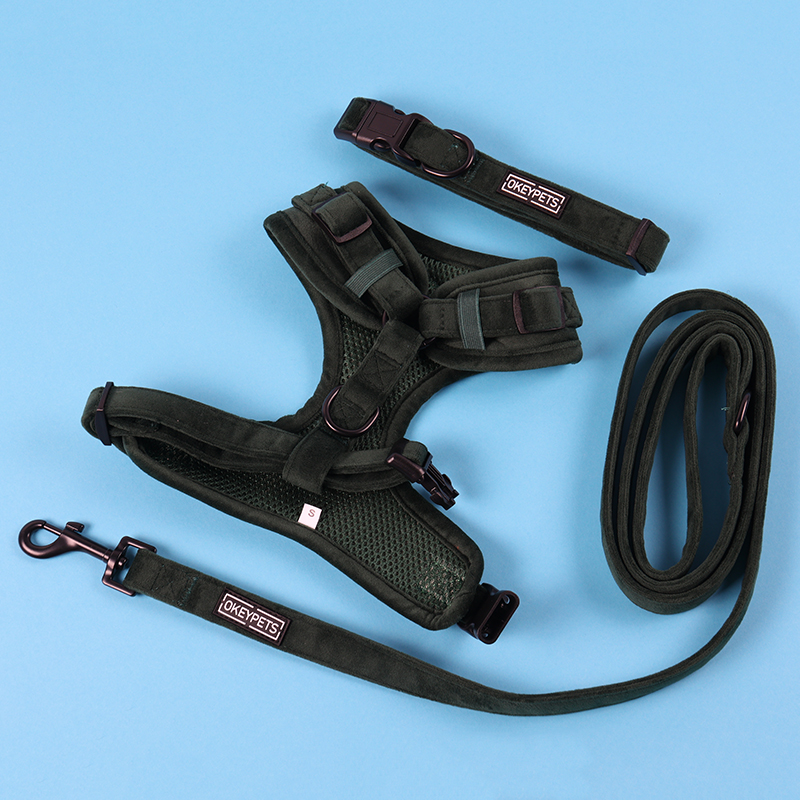 Collier pour chien en velours personnalisé, ajustable, avec logo personnalisé, idéal pour les promenades en extérieur. Fabriqué en Chine. 12