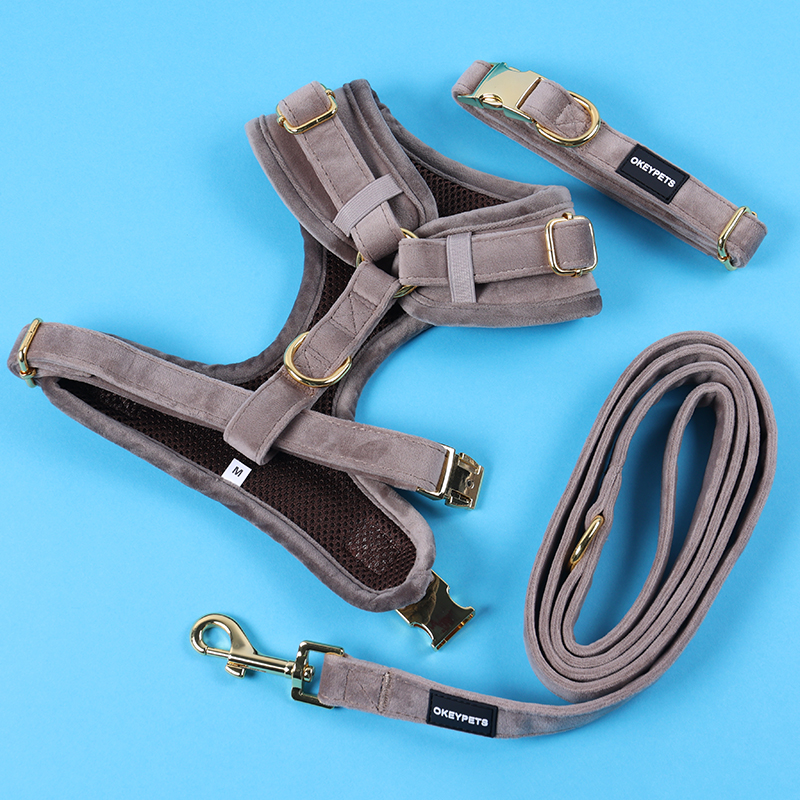 Collier pour chien en velours personnalisé, ajustable, avec logo personnalisé, idéal pour les promenades en extérieur. Fabriqué en Chine. 11