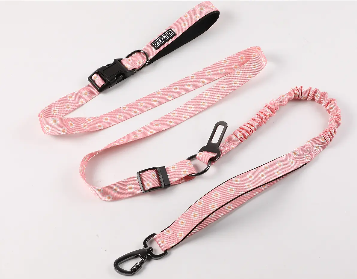 dog leash for pulling at Wholesale Prices | OKEYPETS 6