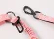 dog leash for pulling at Wholesale Prices | OKEYPETS 7