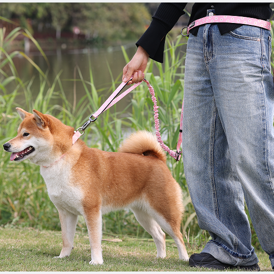 Vlastné multifunkčné ovládateľné sublimačné dizajnové potlačené neoprénové nylonové popruhy bez rúk vodítko pre psov pre vonkajšie použitie 19