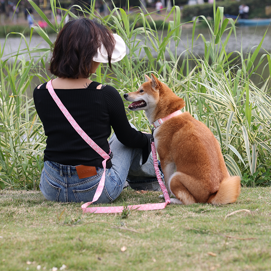 Vlastné multifunkčné ovládateľné sublimačné dizajnové potlačené neoprénové nylonové popruhy bez rúk vodítko pre psov pre vonkajšie použitie 17
